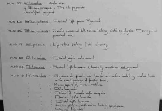 Page 113insert c